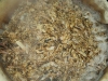 owariya-soba-how-to-make-broth-dashi-14.jpg