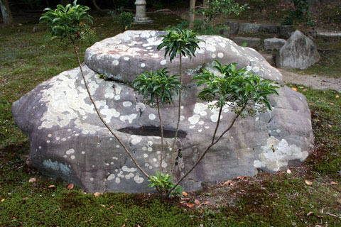 Hashimoto Kansetsu Garden