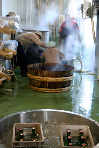 Sake: Learning to Make Sake at Kitagawa Honke Sake Brewery in Fushimi - Part 3