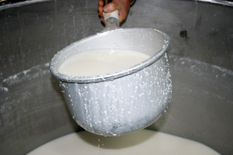Sake: Learning to Make Sake at Kitagawa Honke Sake Brewery in Fushimi - Part 4