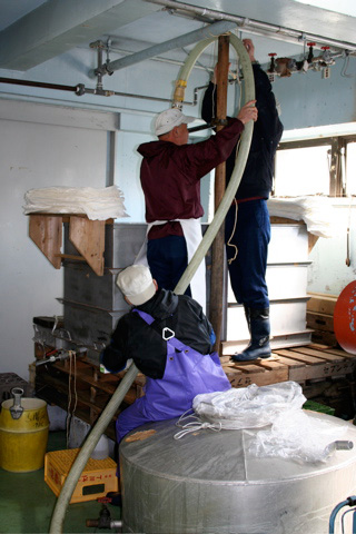 Sake: Learning to Make Sake at Kitagawa Honke Sake Brewery in Fushimi - Part 4