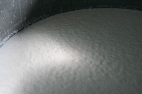 Sake: Learning to Make Sake at Kitagawa Honke Sake Brewery in Fushimi - Part 4