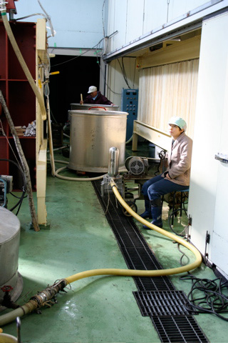 Sake: Learning to Make Sake at Kitagawa Honke Sake Brewery in Fushimi - Part 4
