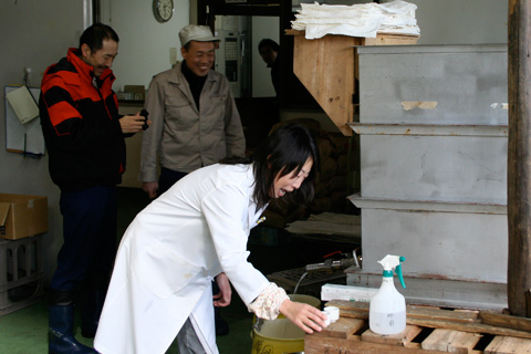 Sake: Learning to Make Sake at Kitagawa Honke Sake Brewery in Fushimi - Part 4
