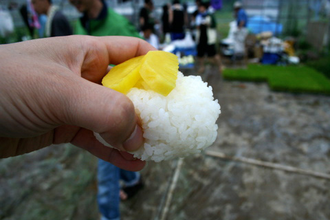 Taue: Rice Planting in Rural Kyoto Prefecture