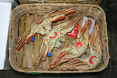 Japanese New Year's Osechi Ryori: Shopping for Fish at Kyoto Wholesale Food Market with Kichisen Owner Yoshimi Tanigawa 京都吉泉・谷河吉巳 おせち料理 京都市中央卸売市場