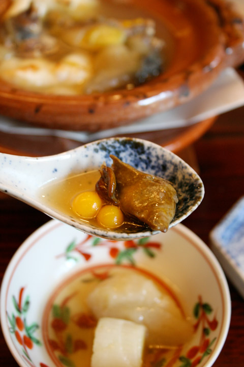 Suppon Nabe: Japanese Turtle Hot Pot Stew | Kyoto Foodie: Where and what to  eat in Kyoto