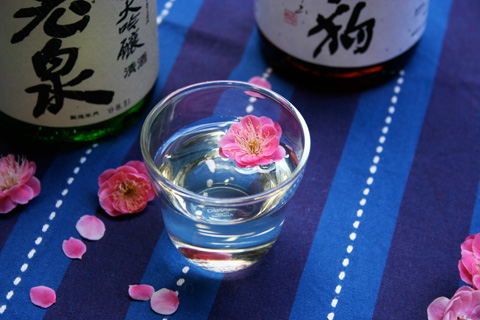 The World's Greatest Sake and 'Ume' Plum Blossoms 上原酒造 不老泉・杣の天狗