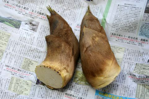 How to Cook Fresh Bamboo Shoots 