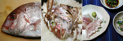 Sea Bream Japanese Feast: Tai Sashimi, Tai Meshi,  Tai Nitsuke 鯛