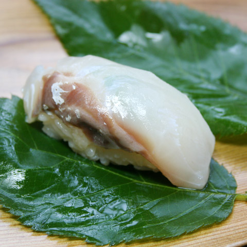 Sakurazushi: Salted Sakura Leaf Tai (Sea Bream) Sushi  鯛桜寿し