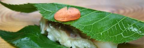 Sakurazushi: Salted Sakura Leaf Tai (Sea Bream) Sushi  鯛桜寿し