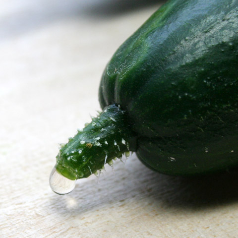 Kyoyasai: Garden Grown Cucumber Nukazuke 京野菜ぬか漬け