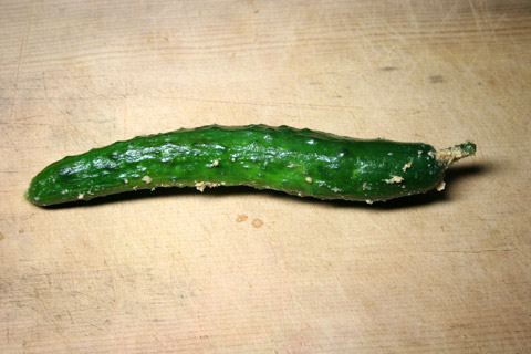 Kyoyasai: Garden Grown Cucumber Nukazuke 京野菜ぬか漬け